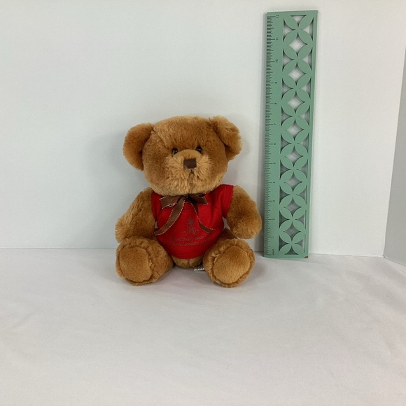 Steven Smith Royal Sonesta Hotel Plush Tea Teddy Bear Souvenir Red Shirt - Picture 6 of 9